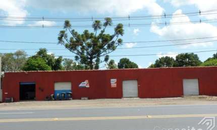 Imóvel Comercial - Bairro Piriquitos - Rodovia BR 376