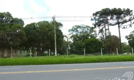 Terreno de 1.342,73m²  Rodovia BR-376 - Bairro Piriquitos