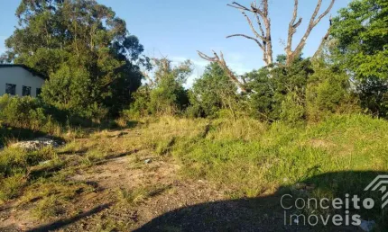 Terreno à venda na Avenida Souza Naves, lado do 38, Chapada, Ponta Grossa