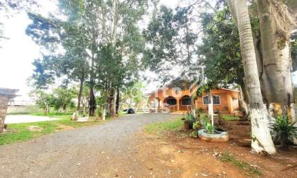 Casa com 4 quartos à venda na Rua Alberto João Klas, 1088, Uvaranas, Ponta Grossa