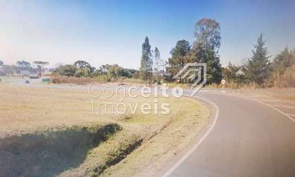 Terreno Comercial no Trevo BR 373 - Saída para BR 376