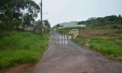 Terreno à venda na Rua Said Ajuz, s/n, Estrela, Ponta Grossa