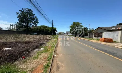 Terreno à venda na Rua Miguel Abrão Ajuz Neto, 120, Cará-cará, Ponta Grossa