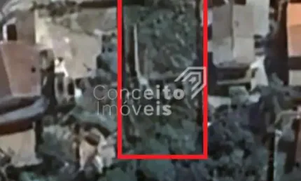 Terreno à venda na Rua Pierre Fanchard, Contorno, Ponta Grossa