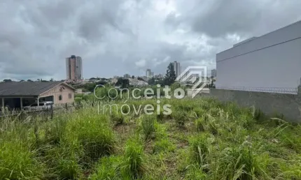 Terreno à venda na Rua Doutor Luiz Conrado Mansani, 000, Oficinas, Ponta Grossa