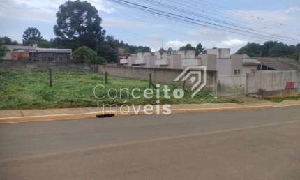 Terreno à venda na Rua Esther Johansen, Cará-cará, Ponta Grossa