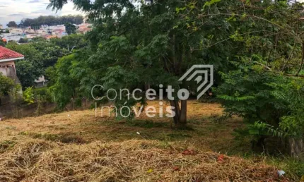 Terreno à venda no Orfãs, Ponta Grossa 