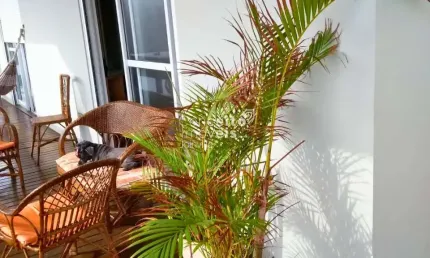 Casa com 4 quartos à venda no Itajubá, Barra Velha 