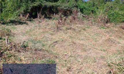 Terreno Terreno Urbano Caraguatatuba - SP - Balneário dos Golfinhos