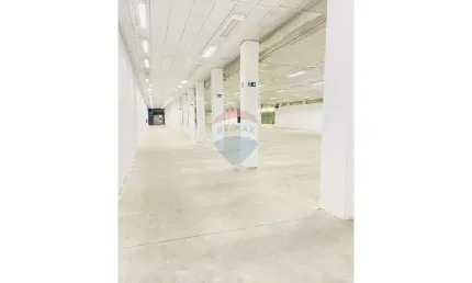 Barracão / Galpão / Depósito para alugar na Avenida Francisco Rodrigues, 479, Vila Constança, São Paulo