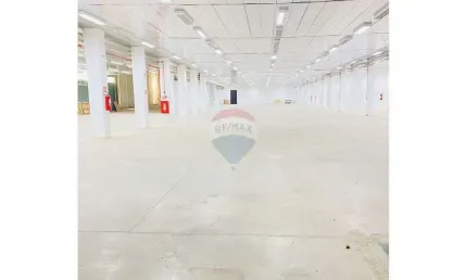 Barracão / Galpão / Depósito para alugar em Jaçanã, São Paulo 