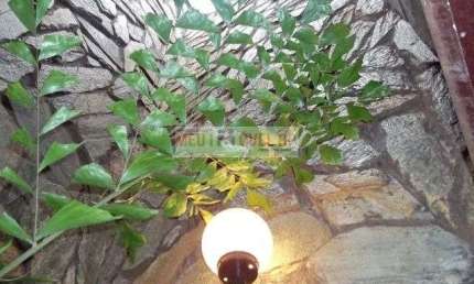 Casa com 4 dormitórios à venda, 300 m² por R$ 585.000 - Jardim Alexandre Balbo - Ribeirão Preto/SP