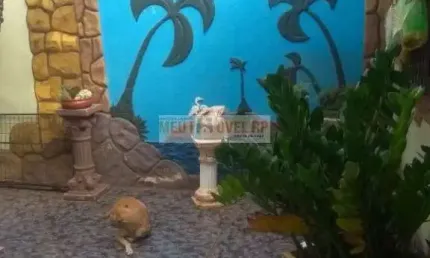 Casa com salão comercial rua principal jd presidente dutra ii