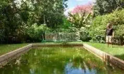 Chácara com 4 dormitórios à venda, 13000 m² por R$ 1.100.000,00 - Conjunto Habitacional Jardim das Palmeiras - Ribeirão Preto/SP