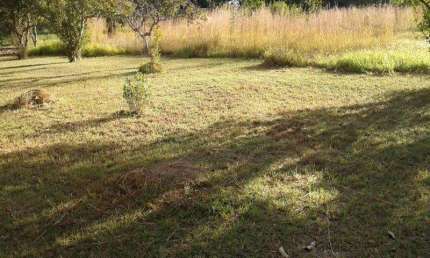 SMPW 09 - Excelente terreno com 20.000m2, totalmente plano