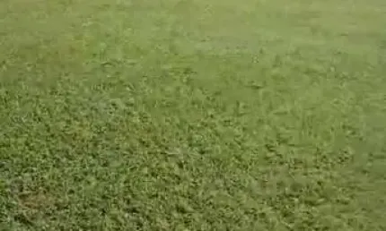 SMPW 11 -  Terreno Plano com 20.000m2, casa de apoio e piscina !