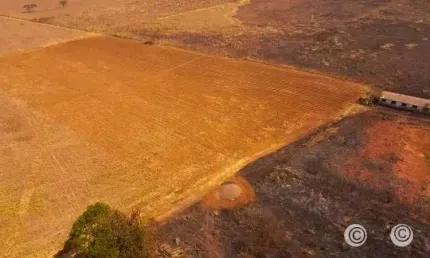 Ponte alta - oportunidade,  terreno plano, à beira da rodovia !