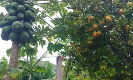 Vende Área de 2300 metros para Chácara em Biritiba Mirim SP