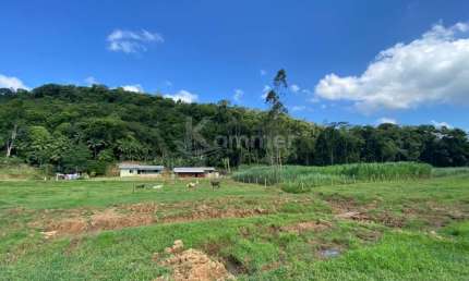 Chácara / sítio com 3 quartos à venda na Estrada Geral Do Ribeirão Máximo, Alto Máximo, Luiz Alves