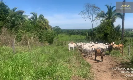 Fazenda com 2 salas à venda na Fazenda 359 Hectares - Com Ate 5 Anos Para Pagar, Zona Rural, Chapada dos Guimarães