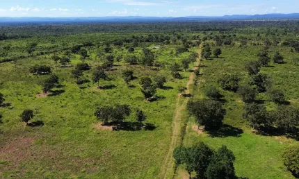 Fazenda 845 hectares | Dupla Aptidão - 26km de Cuiabá MT*
