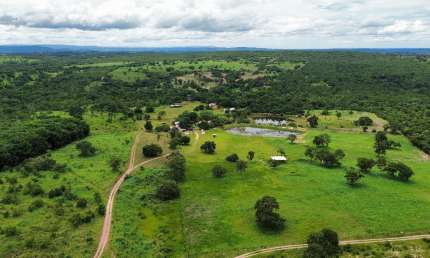 Fazenda com 2 salas à venda na Fazenda 130 Hectares Rica Em ÁGua - Cuiaba, Nossa Senhora da Guia, Cuiabá