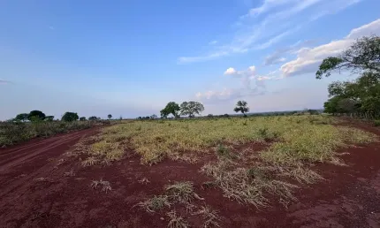 Fazenda 158 hectares - 130ha Formados - Aptidão para Plantio