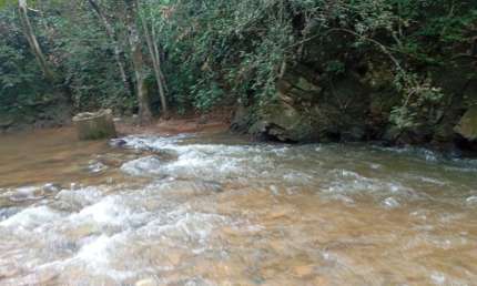 Chácara de 5 hectares com belíssimo Rio de Aguas Cristalinas