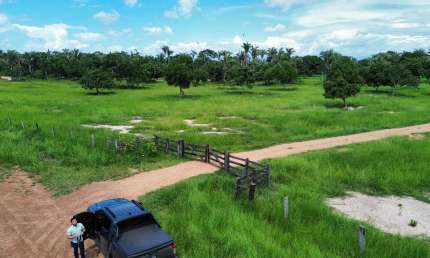 Fazenda com 1 sala à venda na Fazenda 185 Hectares - 45km De Cuiabá Mt, Zona Rural, Santo Antônio do Leverger