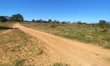 Fazenda de 500 hectares - 200 hectares vira Lavoura