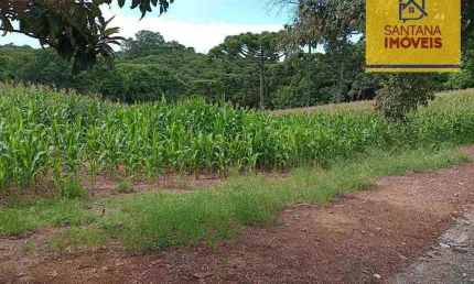 Terreno à venda, 12100 m² por r$ 800.000,00 - rondinha - campo largo/pr