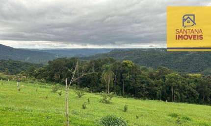 Chácara com 1 dormitório à venda, 20000 m² por R$ 590.000,00 - São Caetano - Balsa Nova/PR