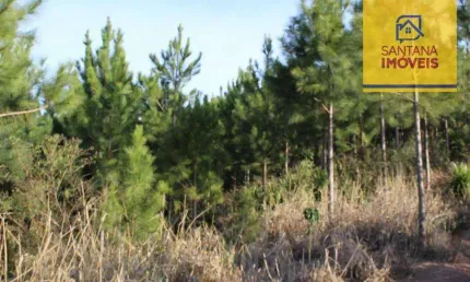 Chácara à venda, 2528900 m² por R$ 8.778.600,00 - São Caetano - Campo Largo/PR