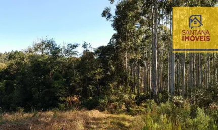 Área à venda, 243888 m² por r$ 700.000,00 - três córregos - campo largo/pr