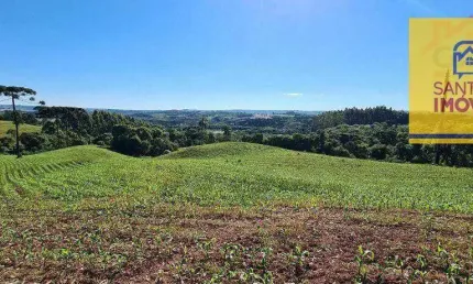 Chácara à venda, 20639 m² por R$ 350.000,00 - Rodeiozinho - Balsa Nova/PR
