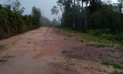 Chácara com 1 dormitório à venda, 114720 m² por r$ 370.000,00 - são silvestre - campo largo/pr