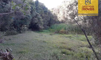 Chácara à venda, 20000 m² por r$ 790.000,00 - jardim florestal - campo largo/pr