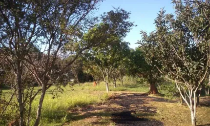 Chácara com 14 mil m2 em Capela do Alto com Piscina