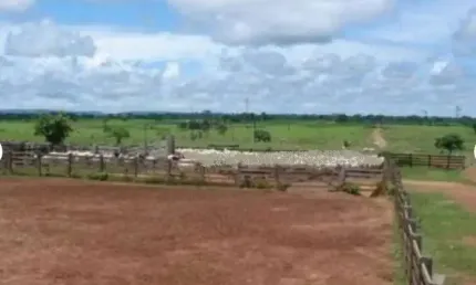 Fazenda com 150 mil hectares no estado de mato grosso