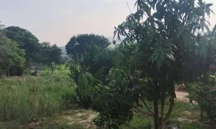 Chácara / sítio à venda na Canguera, Capela do Alto 