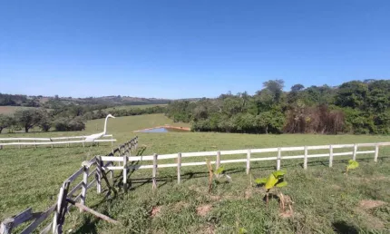Chácara / sítio com 3 quartos à venda no Ribeirãozinho, Alambari 