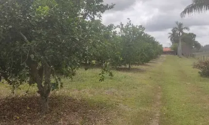 Chácara / sítio com 3 quartos à venda em Cercadinho, Capela do Alto 