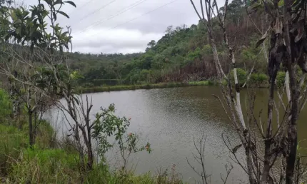 Chácara / sítio com 3 quartos à venda no Turvinho, Piedade 