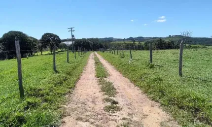 Fazenda à venda no Leite, Piedade 