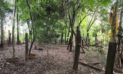 Chácara / sítio com 1 quarto à venda no Jundiaquara, Araçoiaba da Serra 