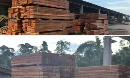 Fazenda com 101 mil hectares no estado de mato grosso
