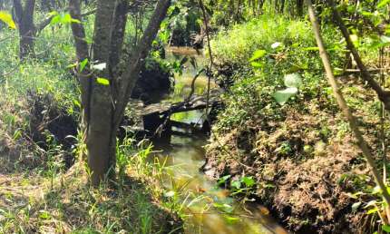 Chácara / sítio à venda em Cercadinho, Alambari 