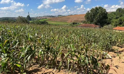 Chácara / sítio com 1 quarto à venda na Vila Moraes, Piedade 