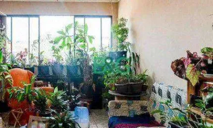Apartamento com 3 dormitórios à venda, 118 m² por R$ 498.900,00 - Mooca - São Paulo/SP