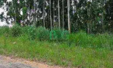 Terreno à venda, 2 m² por R$ 1.314.241 - Laranjeiras - Caieiras/SP